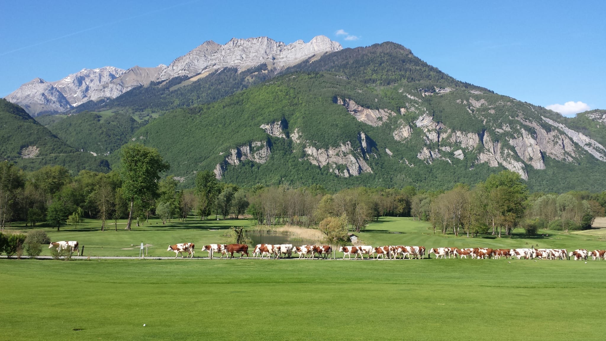 Photo de Françoise FERRARI