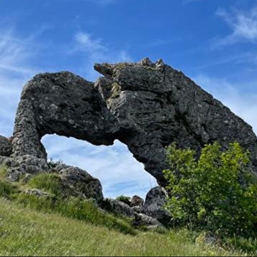 Photo d’Anne-Marie GUIGNIER